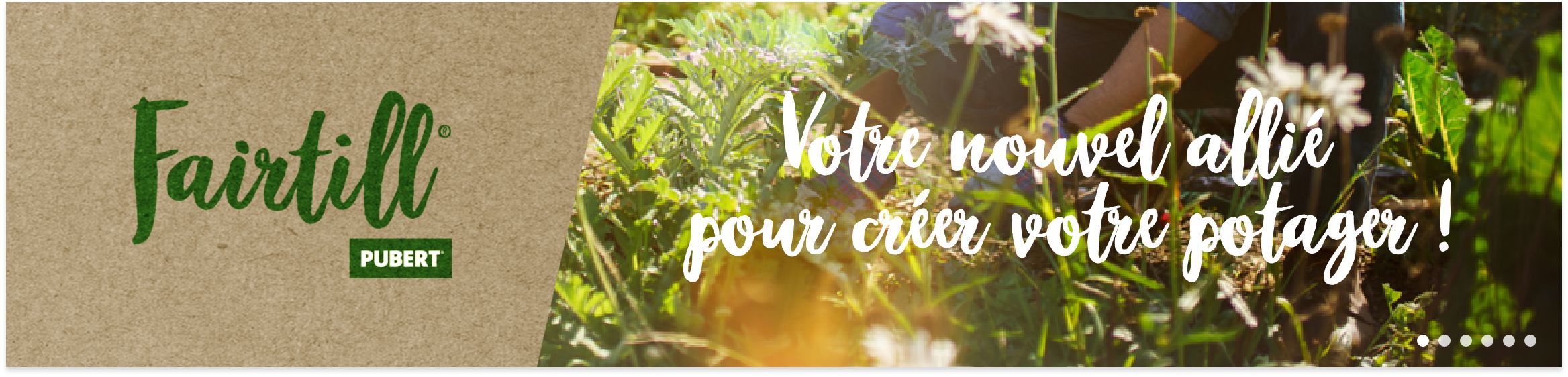 banniere-top
